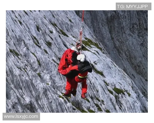 武汉攀岩队灵活性研究：探索攀岩运动中的适应与发展策略实时数据